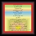 ajb Pagil larki hay 01 * 22.03.2008 * 295 x 620 * (33KB)
